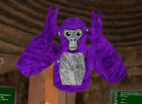 By ShmooBamboo. . Pfp purple gorilla tag monkey